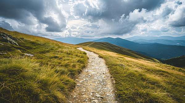 Camino natural y luminoso en un entorno abierto y sereno